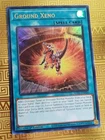 Ground Xeno