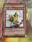 Mist Valley Thunderbird
