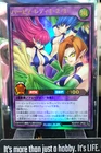 Harpie Lady 1
