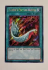 Harpie's Feather Duster