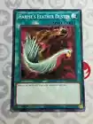 Harpie's Feather Duster