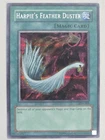 Harpie's Feather Duster