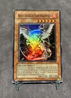 Horus the Black Flame Dragon LV6