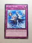Humid Winds
