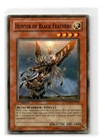 Hunter of Black Feathers