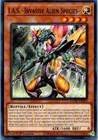 Time Thief Perpetua