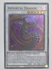 Immortal Dragon