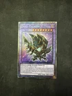 Dark Paladin
