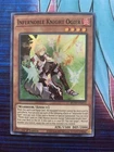 Infernoble Knight Ogier