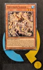 Crystron Smiger