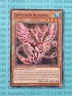 Crystron Rosenix
