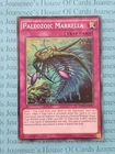 Paleozoic Marrella