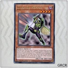 Inzektor Giga-Cricket