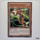 Inzektor Ladybug