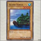 Island Turtle