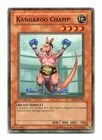 Kangaroo Champ