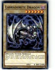 Water Dragon