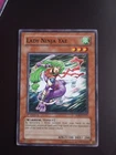 Lady Ninja Yae