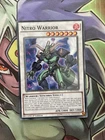 D.D. Warrior