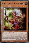 Amazoness Princess