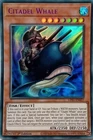 Citadel Whale