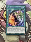Relinquished Fusion