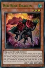 Black Dragon's Chick