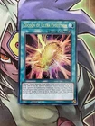 Cocoon of Evolution