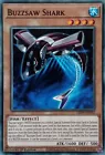 Buzzsaw Shark