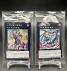 Dark Magician the Dragon Knight
