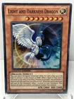 Light and Darkness Dragon