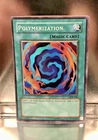Blue Rose Dragon