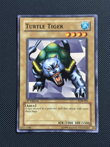 Turtle Tiger
