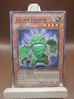 Colossal Fighter