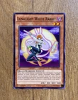 Lunalight White Rabbit