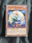 Luminous Spark