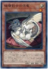 Koa'ki Meiru Sandman