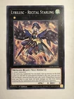 Shooting Star Dragon