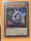 Maliss White Rabbit