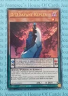D/D Savant Kepler