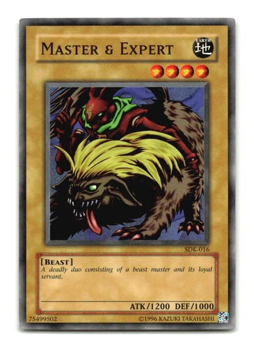 Master & Expert