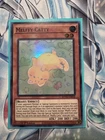 Melffy Catty