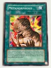 Metamorphosis
