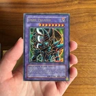 Dark Paladin