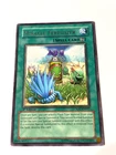 Miracle Fertilizer