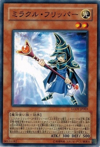 Miracle Flipper