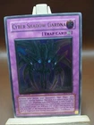 Cyber Shadow Gardna