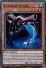 Buzzsaw Shark