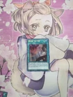 Nadir Servant