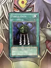 Turtle Oath